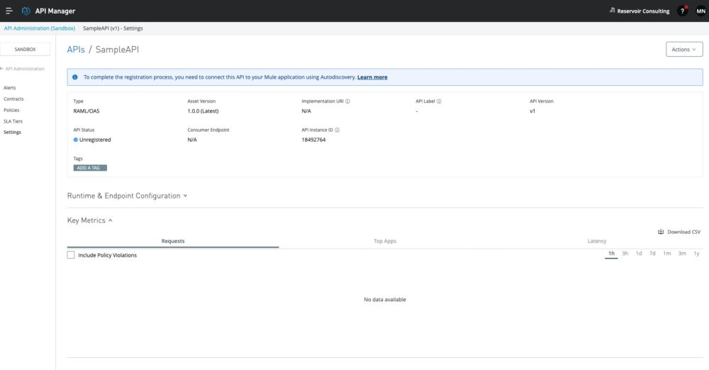 MuleSoft API Manager03