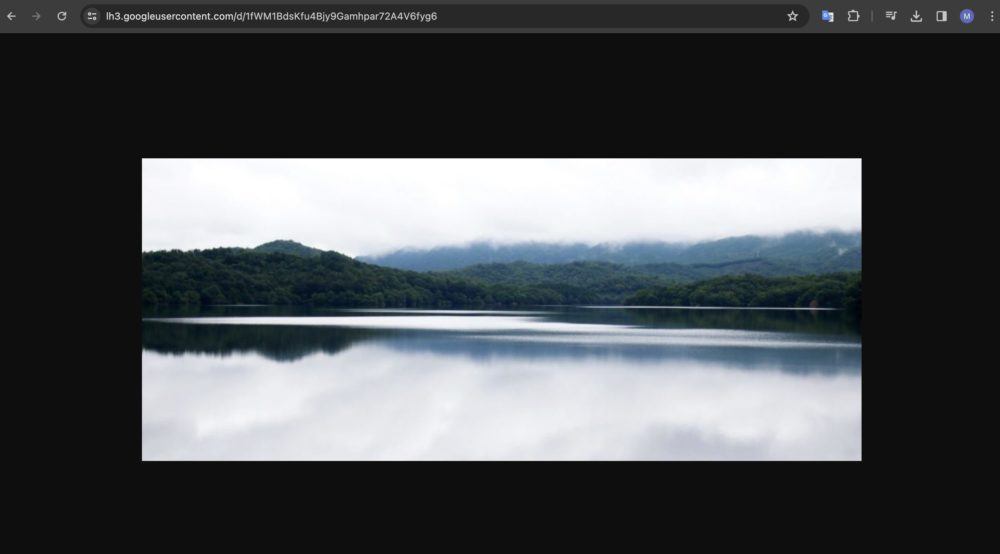google-drive-image-url-04