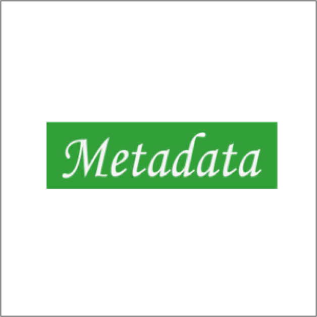 Metadata